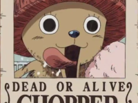 10 Buah Iblis Paling Lemah Di One Piece