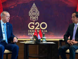 Presiden Jokowi Bertemu Presiden Erdogan