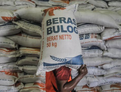 Perum Bulog Memastikan Siap Menyerap Maksimal Produksi Gabah Beras Dalam Negeri