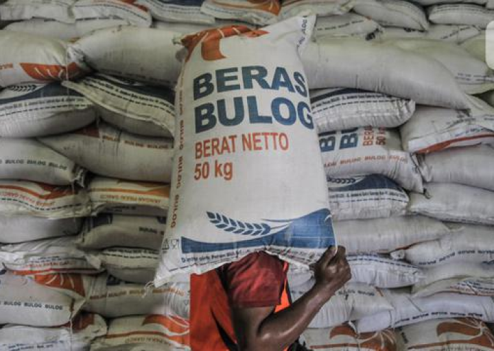 Bulog Serap Beras Panen Raya Untuk Kepentingan Bansos