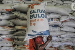Bulog Telah Serap 500 Ton Beras Petani Sejak Awal Tahun Pastikan Cadangan Aman