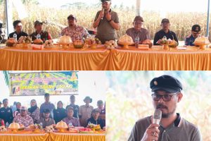 Pemda Parigi Moutong Dorong Produktivitas Pertanian: Sekda Zulfinasran Minta Dinas TPHP Akomodir Kebutuhan Kelompok Tani Jagung