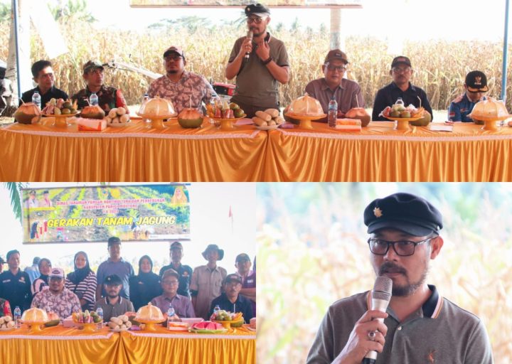 Pemda Parigi Moutong Dorong Produktivitas Pertanian: Sekda Zulfinasran Minta Dinas TPHP Akomodir Kebutuhan Kelompok Tani Jagung