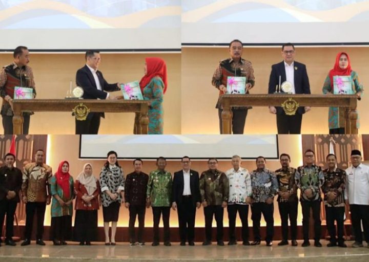 Serahkan LHP, BPK RI Harap Kepala Daerah di Sulteng Lakukan Perbaikan
