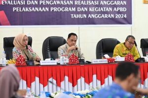 Evaluasi dan Pengawasan TEPRA APBD Sulteng 2024, Ini Penekanan Wagub Mamun Amir