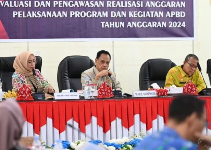 Evaluasi dan Pengawasan TEPRA APBD Sulteng 2024, Ini Penekanan Wagub Mamun Amir
