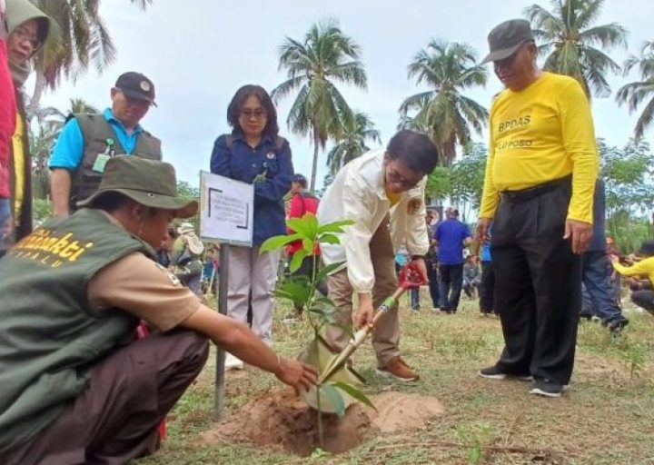 Upaya Mitigasi Perubahan Iklim, KLHK Gelar Penanaman Ratusan Pohon di Parigi Moutong