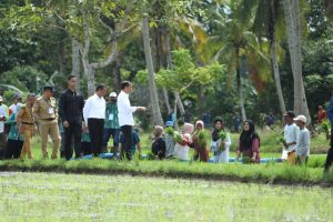 Sambut Presiden Jokowi dan Mentan, Petani di Bone: Ini Berkah Untuk Petani