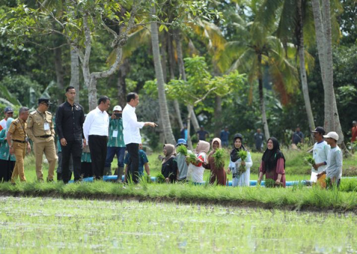 Sambut Presiden Jokowi dan Mentan, Petani di Bone: Ini Berkah Untuk Petani