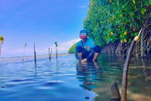 Hari Mangrove Sedunia LPAP El Capitan Parigi: Kalau Bukan Kita, Siapa Lagi!