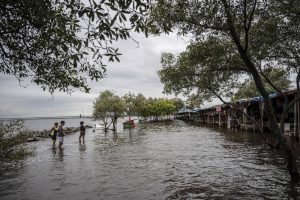 6 RT di Jakarta Utara Terendam Banjir Rob