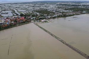 Foto: Banten Terancam Gagal Panen Usai 7 Ribu Hektare Sawah Terendam Banjir