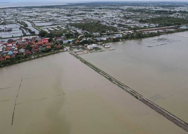 Foto: Banten Terancam Gagal Panen Usai 7 Ribu Hektare Sawah Terendam Banjir
