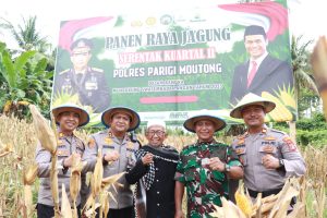 Polres Parigi Moutong Panen Raya Jagung, Dukung Swasembada Pangan