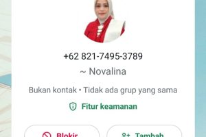 Nomor Dicatut, Sekdaprov Sulteng Imbau Warga Waspada Penipuan Identitas