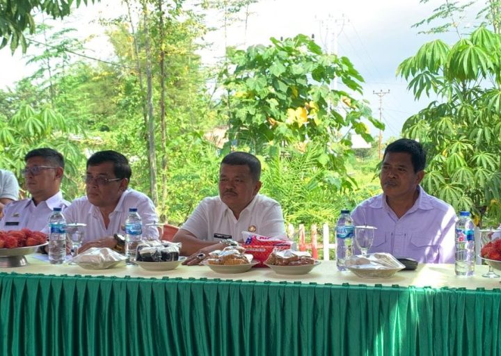 Wabup Parigi Moutong: Tambang Kayuboko Ditertibkan, Izin Didorong Lewat Koperasi