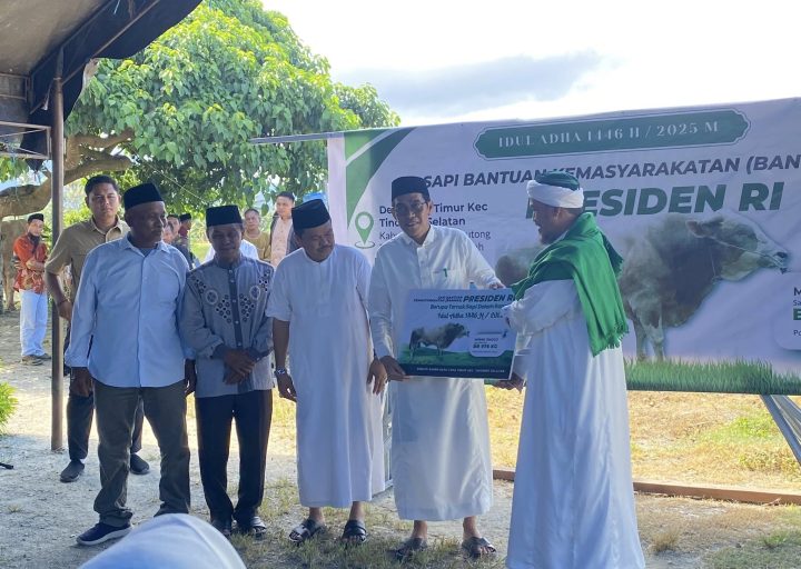 Warga Tada Timur Terima Hewan Kurban dari Presiden, Diserahkan Bupati Parimo