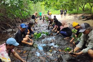 Tanam 1.000 Bibit Mangrove, FKPAPT Parigi Moutong Gaungkan Aksi Nyata Jaga Teluk Tomini