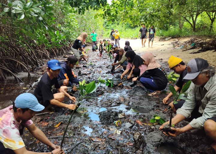 Tanam 1.000 Bibit Mangrove, FKPAPT Parigi Moutong Gaungkan Aksi Nyata Jaga Teluk Tomini