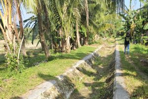 Saluran Irigasi Rusak, Petani Ampibabo Terancam Kehilangan Sawah