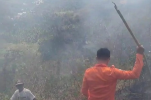 BPBD Parigi Moutong Tangani Karhutla di Desa Ambason Mekar