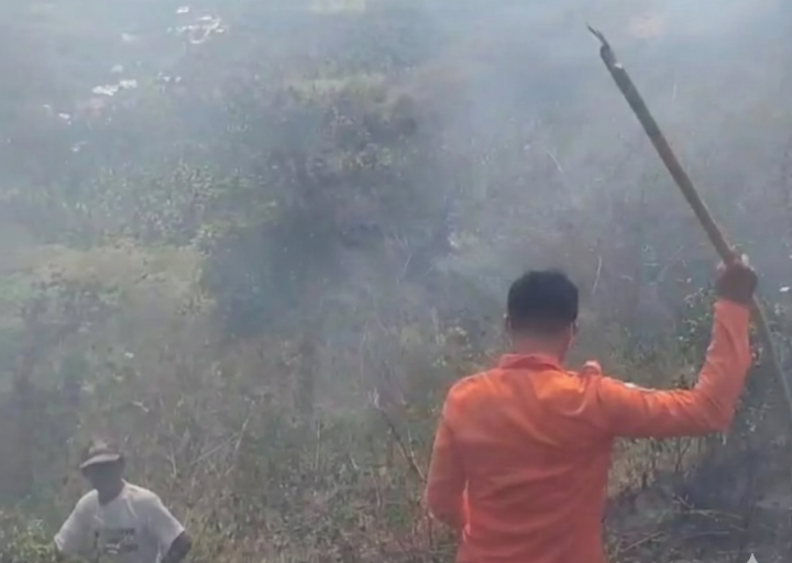 BPBD Parigi Moutong Tangani Karhutla di Desa Ambason Mekar