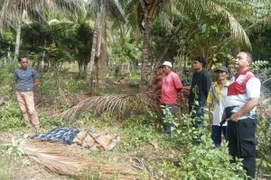 Polisi Selidiki Kematian Pelajar di Kebun Kelapa Desa Avolua