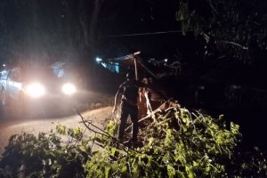 Angin Kencang Robohkan Pohon di Pasar Baru Parigi, BPBD Turunkan Tim Evakuasi