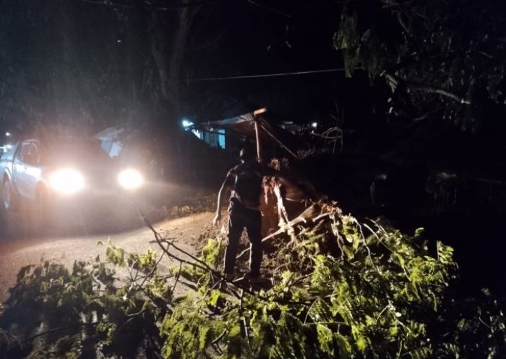 Angin Kencang Robohkan Pohon di Pasar Baru Parigi, BPBD Turunkan Tim Evakuasi