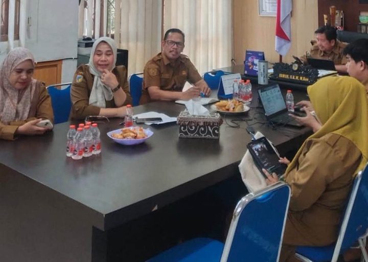 Kematian Ibu dan Anak di Parimo Meningkat, 8 Puskesmas Belum Berfungsi sebagai PONED